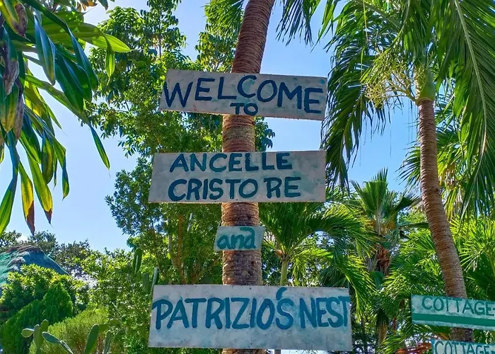 Ancelle Cristo Re * 몰볼